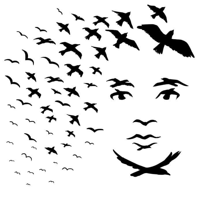 Đàn chim: Cuộc sống tình yêu của bạn giống như một tàu lượn siêu tốc, bạn cần tìm cho mình sự cân bằng trong mối quan hệ này. Khuôn mặt: Ồ, có vẻ như bạn đã tìm được cho mình một nửa kia, người mà có thể hiểu được bạn một cách trọn vẹn.