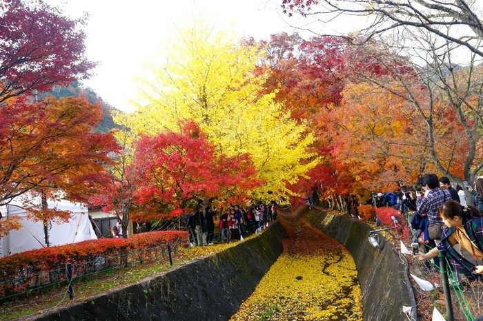 (Ảnh: Tanachot Srijam)