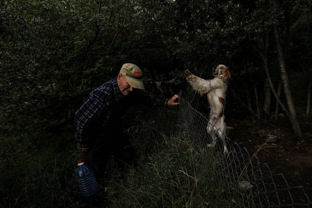 Và họ cũng nuôi nhiều chó.