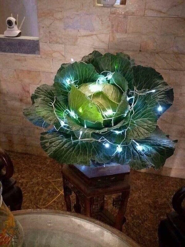 Bắp cải và đèn màu đích thực là cặp đôi "hợp rơ" nhất, để phòng ngủ siêu đẹp mà trưng phòng khách cũng xuất sắc