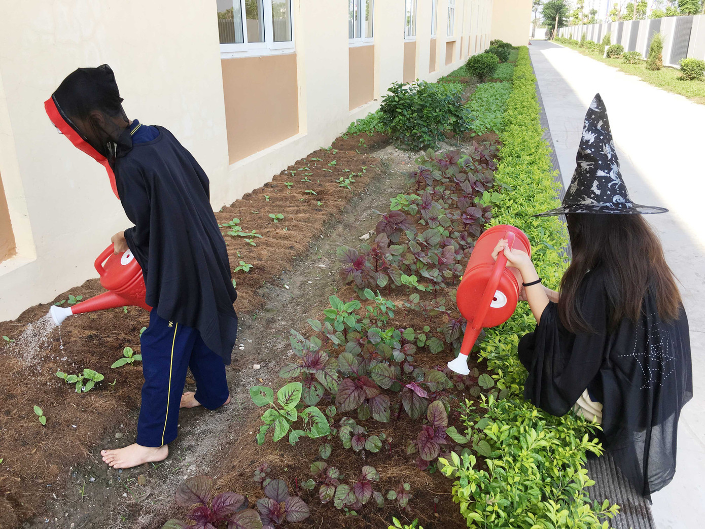 Thay vì trêu trọc người khác, bất ngờ là các chú ma lại dành thời gian chăm sóc cây.