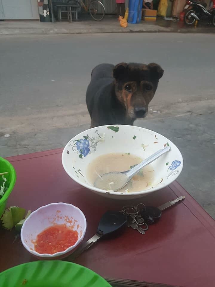 Chân dung "boss" ở nhà lầu vẫn lừa được thanh niên mua cho 20 nghìn thịt vịt. (Ảnh: Loan Lê)