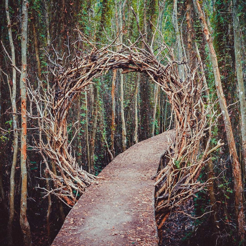 Chiếc cổng độc đáo bện từ cây rừng. Ảnh: Hồ Quang Khôi.