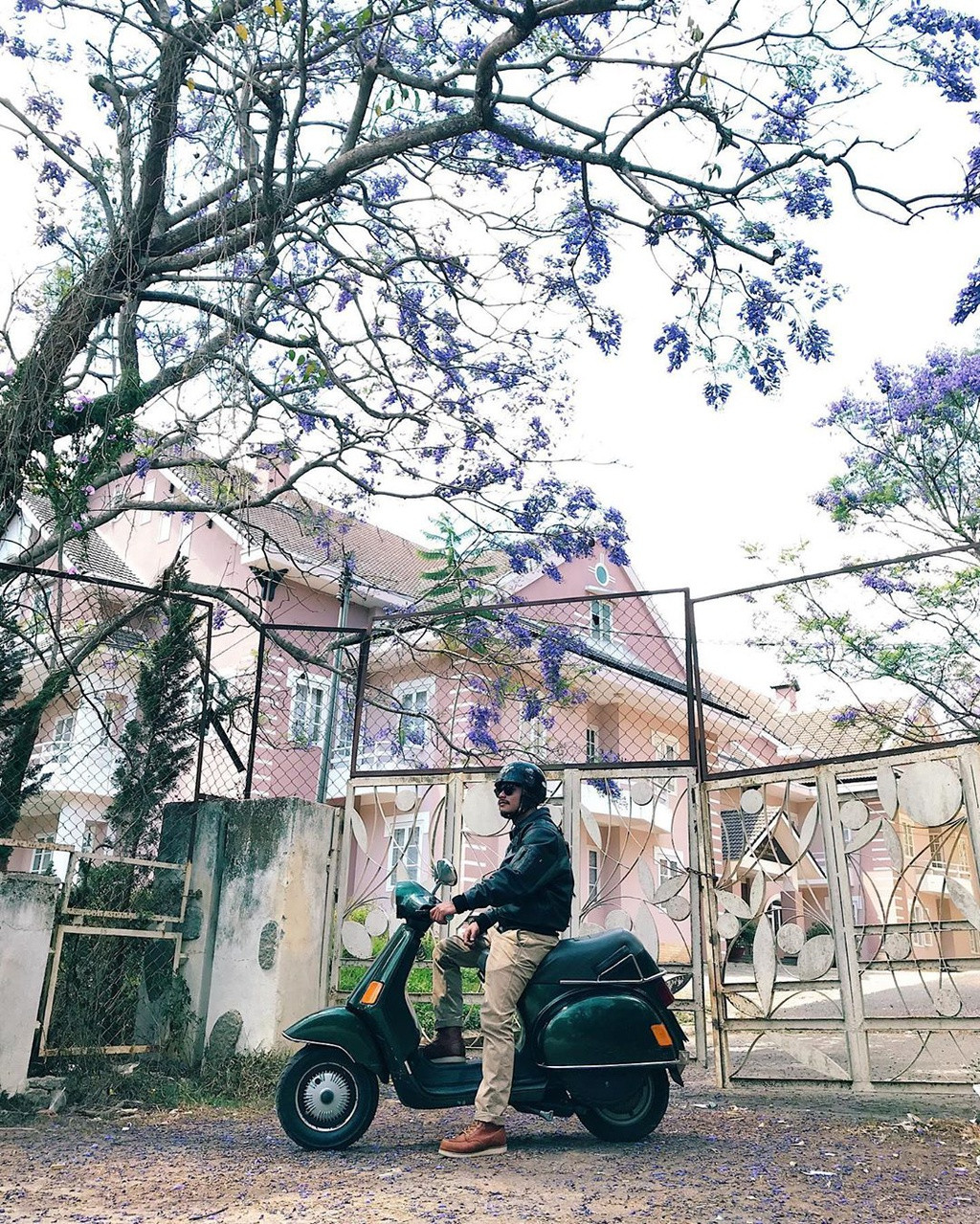 Ảnh: Taudalat, Congdat28, Taiphietle, _Tthu98.