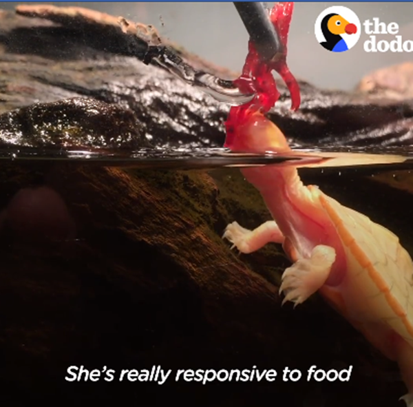 Hope đã vượt qua số phận.