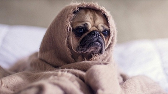 Những tình huống oái oăm ai cũng phải trải qua ít nhất chục lần ảnh 10