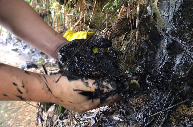 Nhiều khu vực dầu mỡ đã ngấm vào bùn đất. Có khu vực lớp bùn đất chứa dầu mỡ dầy tới 20 cm.