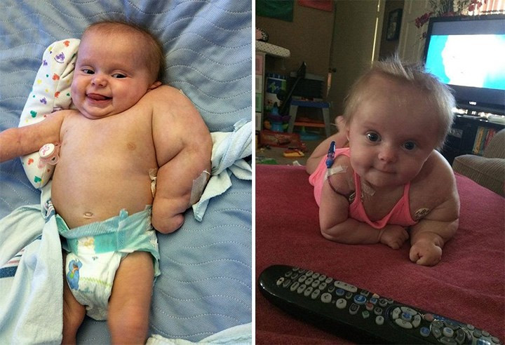 Đây là một sự tổn thương lớn đối với em cũng như gia đình. Ảnh: Purrworld.