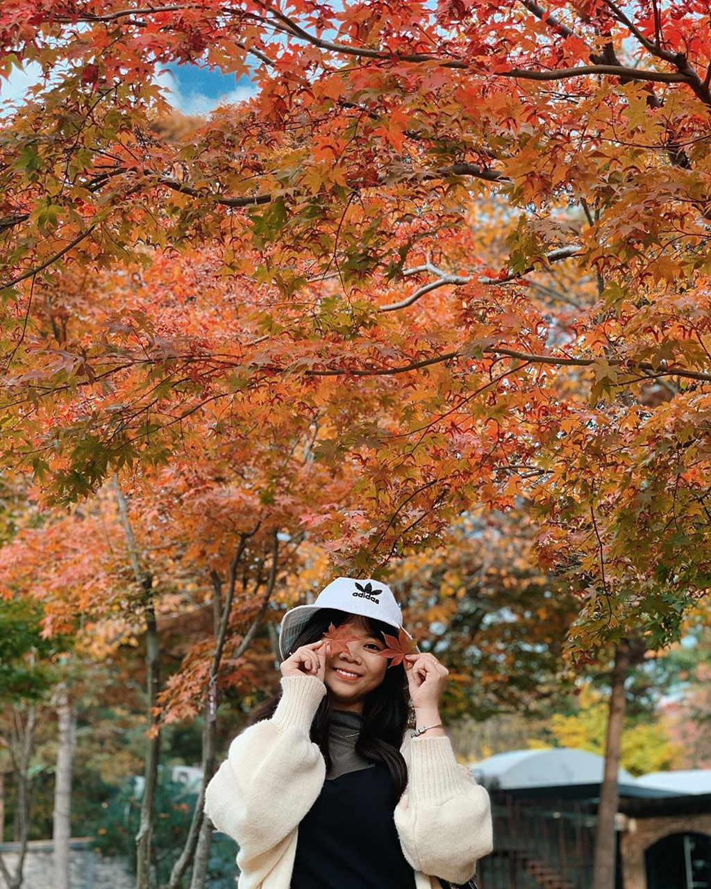 Ảnh: Sesevuive, Linh512.