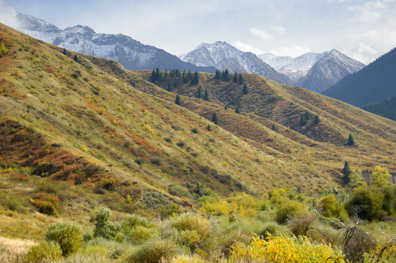 Ảnh: Adventurous Travels.