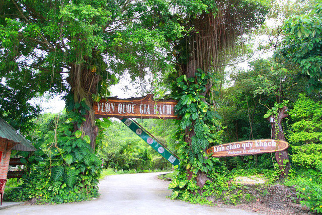 Đường vào Vườn Quốc gia Bạch Mã