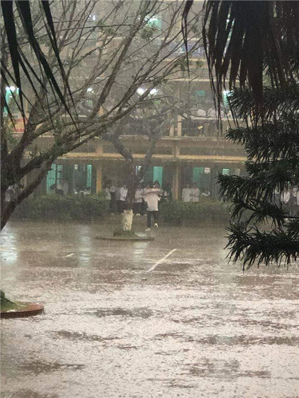 Ảnh: Nguyễn Xuân.