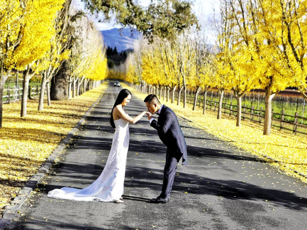 Tuấn Hưng tình cảm hôn tay bà xã trên con đường lá mộng mơ.