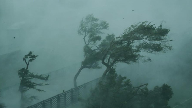 Siêu bão di chuyển với sức gió trên 200 km/ giờ phá hủy nhiều căn nhà và làm nhiều cây xanh trốc gốc. ẢNH: CHỤP MÀN HÌNH NEWS.CN