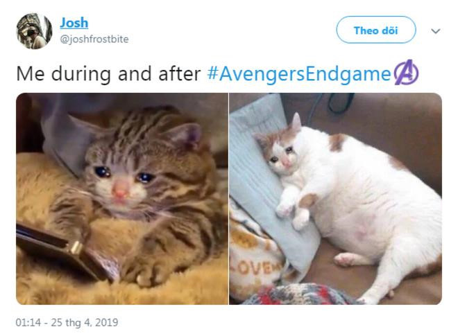 Trên mạng xã hội Twitter, các status chia sẻ nỗi buồn sau khi xem Endgame đang tràn ngập. Đây là chân dung của một fan: đang xem thì khóc, xem xong rồi vẫn buồn thỉu chẳng thiết làm gì.