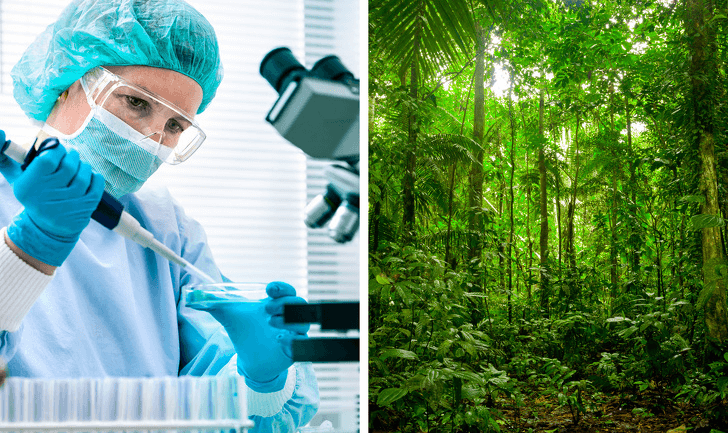 © depositphotos.com