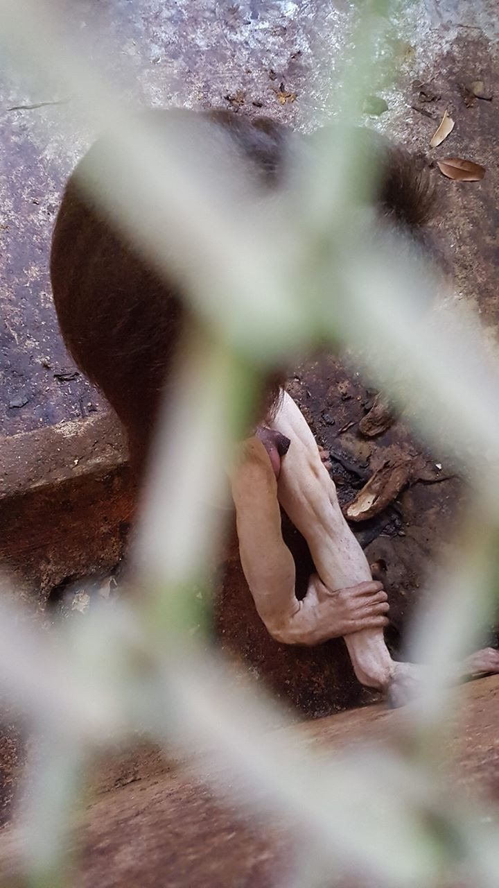 Cảnh này sẽ khiến không ít người phải rùng mình.