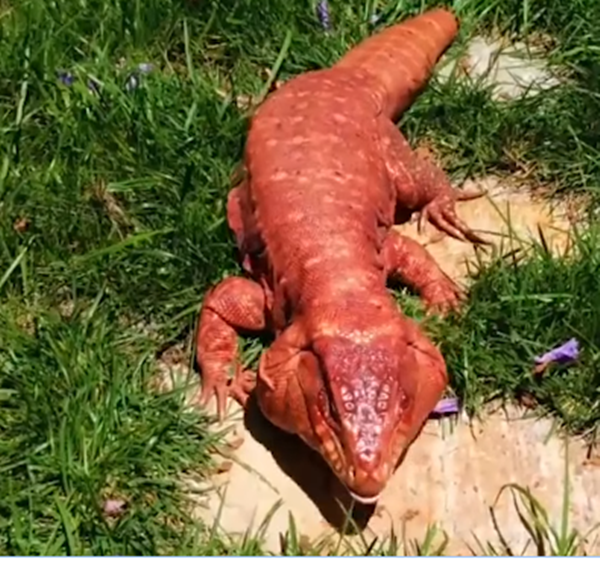 Và thi thoảng tôi cũng đi chơi một mình...