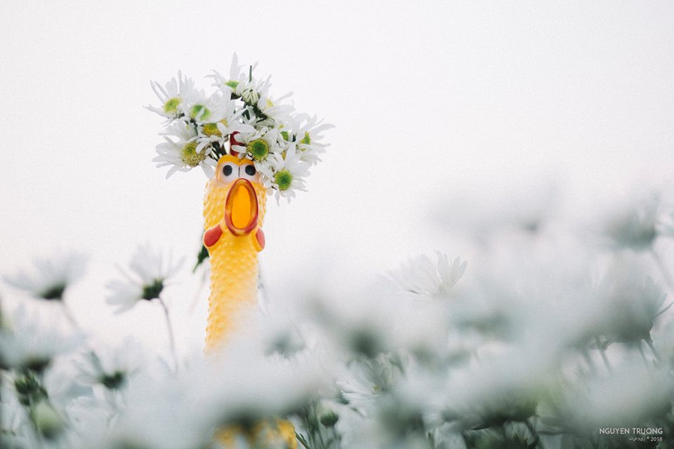 &quot;Ò ó o ò&quot;.