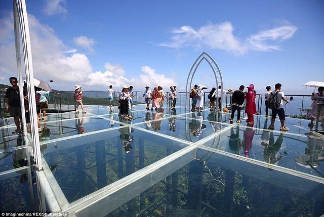 Đứng trên cầu kính có thể phóng tầm mắt nhìn toàn cảnh biển và rừng phía dưới