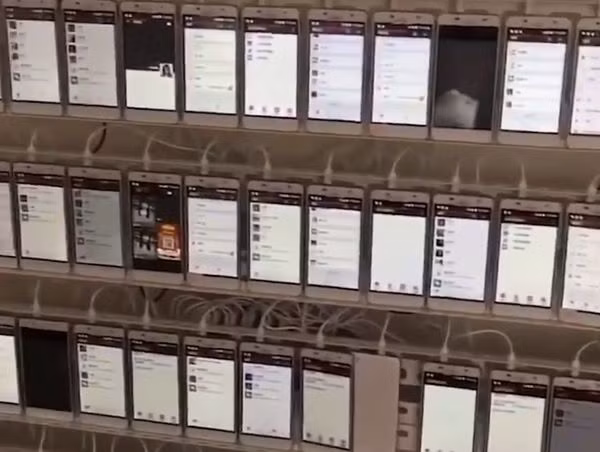 Mỗi “trang trại” có thể có tới hàng nghìn chiếc smart-phone.