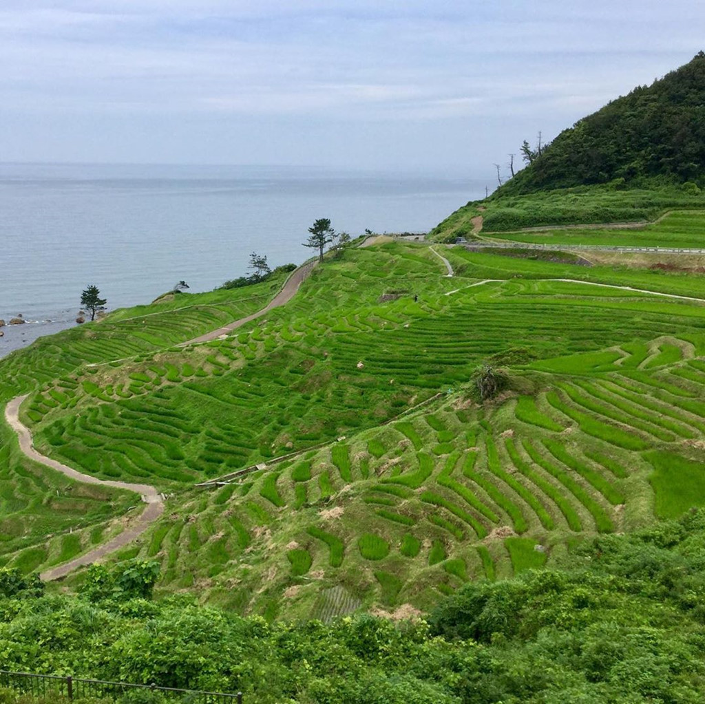 Ảnh: Wangbei1971. Ảnh: Wangbei1971.