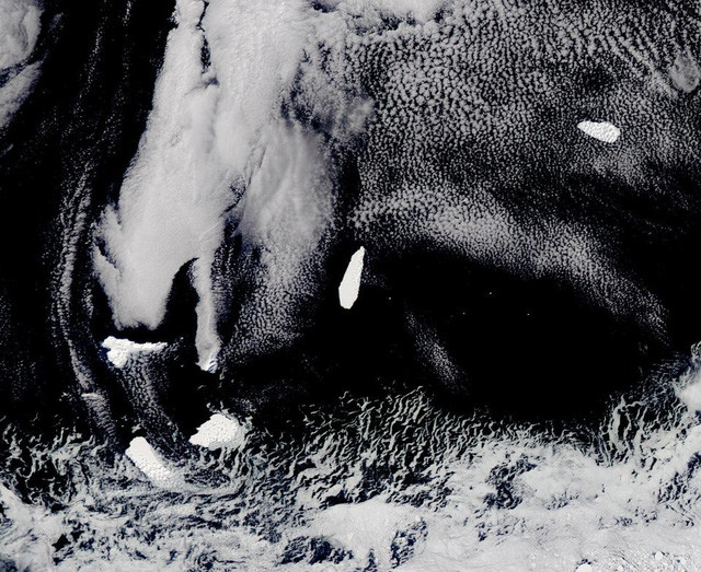 Tảng băng hướng lên phía bắc, tiến vào vùng nước ấm.