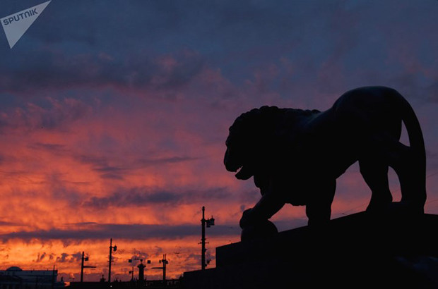 Bức tượng sư tử trong ánh sáng mờ ảo của đêm trắng ở St. Petersburg.