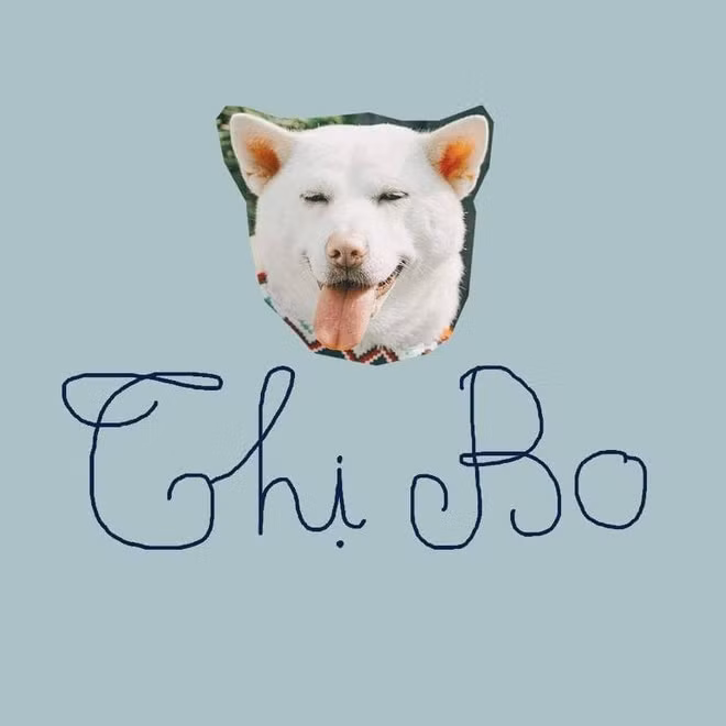 Ảnh: Hội hâm mộ Marvel/ Thị Bo.