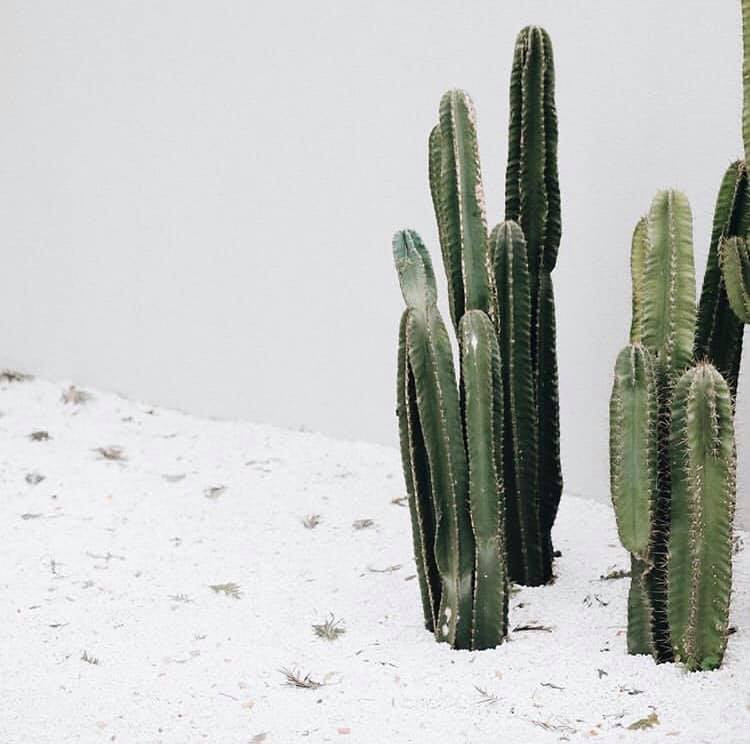 Chapter Thonglor25 - quán cà phê "kool ngầu" hết nấc vừa mới mở ở Bangkok ảnh 7 Ảnh: @nowpplin