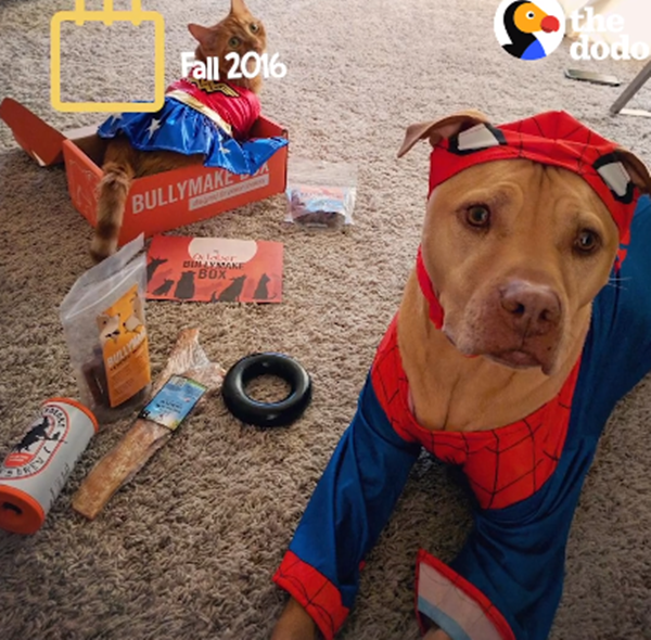 Rồi đến những giây phút cùng nhau đi dã ngoại.