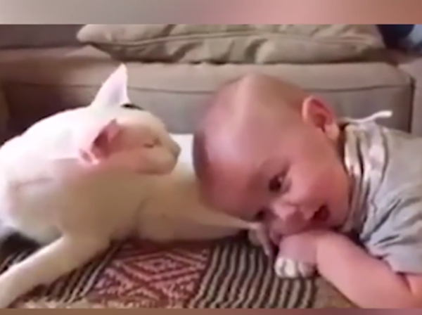 Không phải ôm chân tôi đâu, tôi yêu cậu nhiều mà.