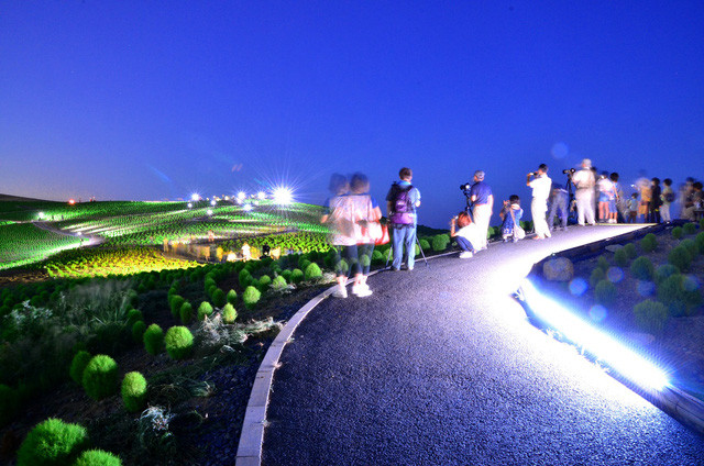 Thắp đèn nhiều màu vào đêm mùa Hè.