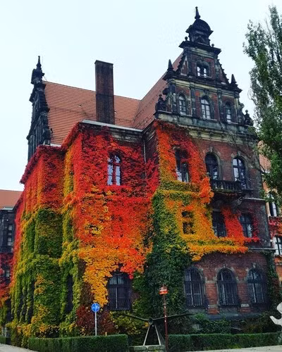 Bảo tàng quốc gia Wroclaw, Ba Lan.