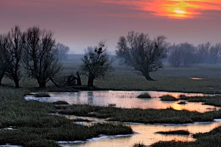 Công viên Thiên nhiên Kopački rit, được hình thành từ các con sông Danube và Drava.