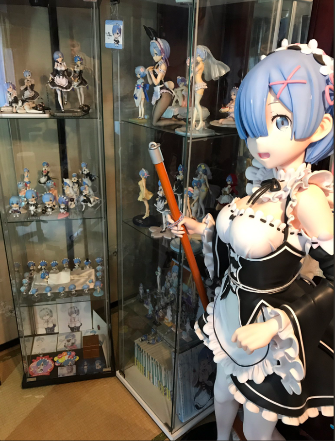 Nam thanh niên này do phải lòng một nhân vật nữ trong hoạt hình nên quyết tâm rước mọi sản phẩm có sự xuất hiện của "em yêu" về nhà.