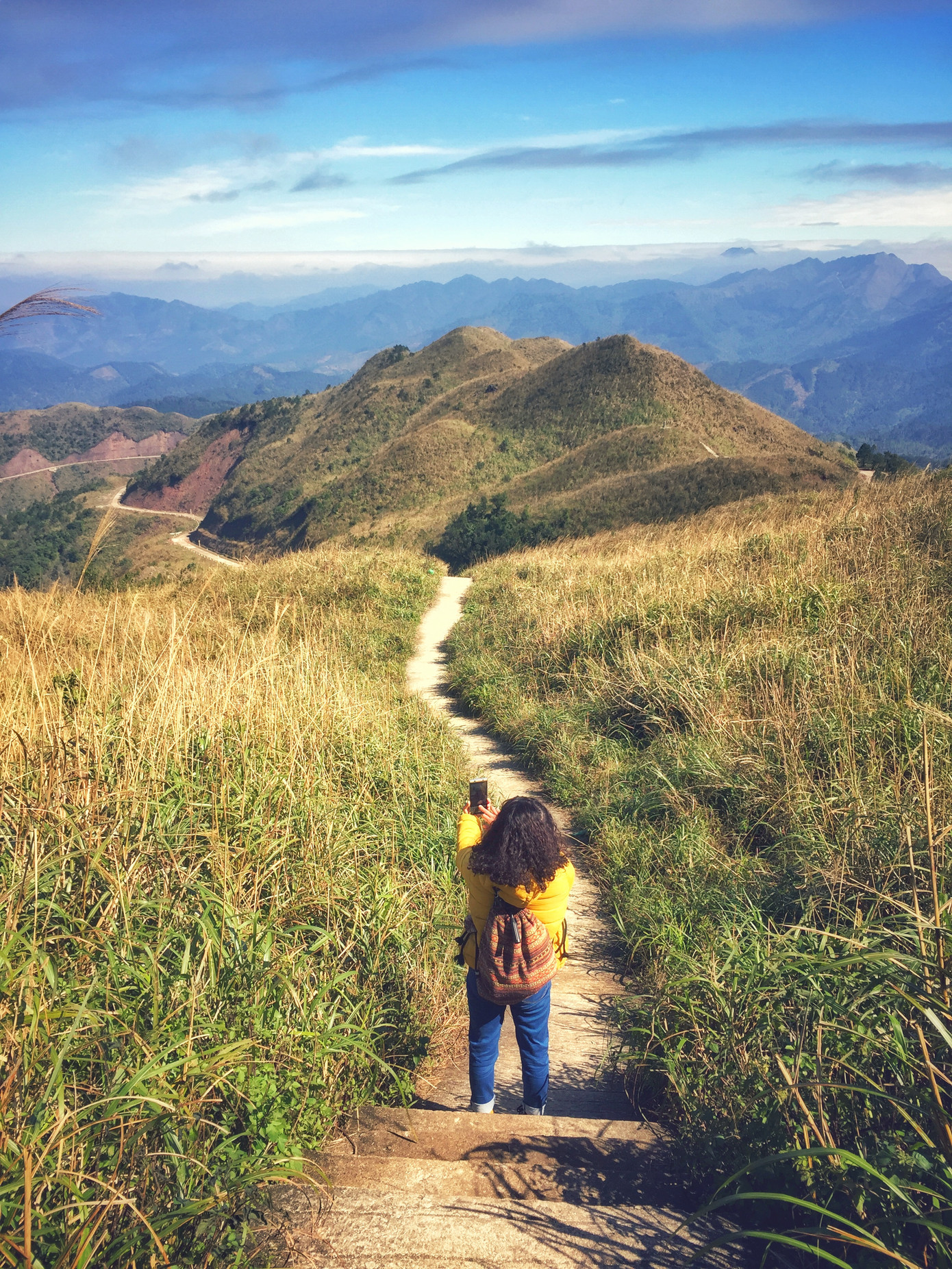 Cỏ lau bên đường.