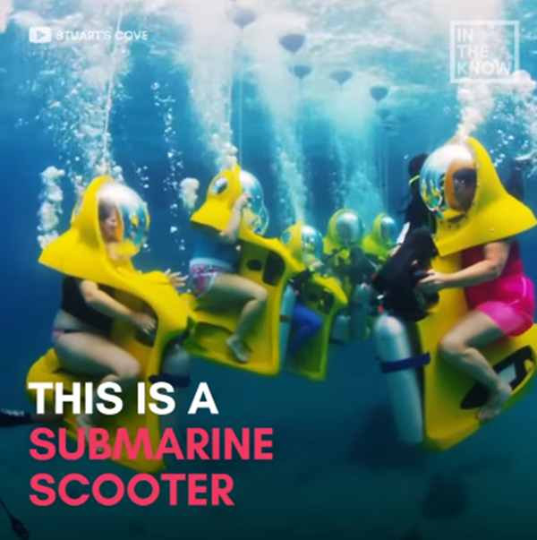 Bạn sẽ có được những trải nghiệm vô cùng thú vị.