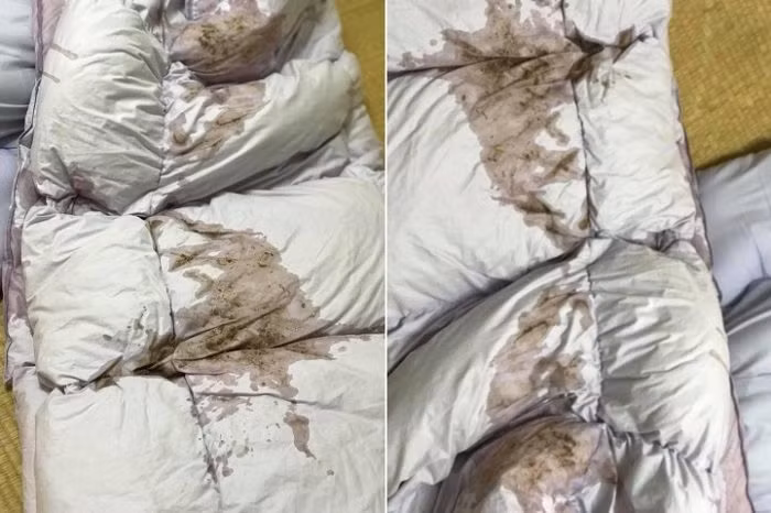 Ghét bạn ở cùng, cô gái đã mua mắm tôm về đổ khắp phòng trước khi "chia tay".