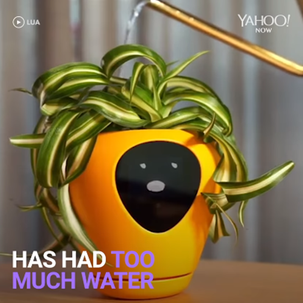 Ồ không, dừng thôi quá nhiều nước rồi bạn ơi.