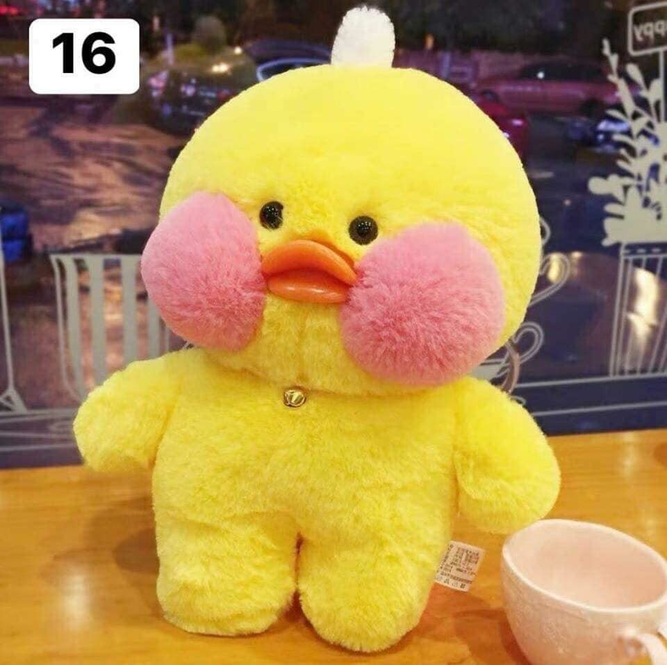 Vịt bông chưa có quần áo.