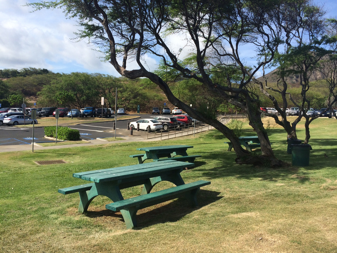 Lạc lối ở Hawaii.