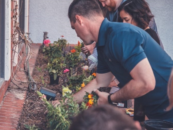 Các bạn học sinh đang làm vườn giúp người dân.