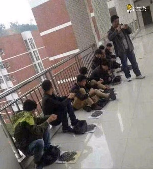 Đây quả là hình phạt bá đạo, “có một không hai”.
