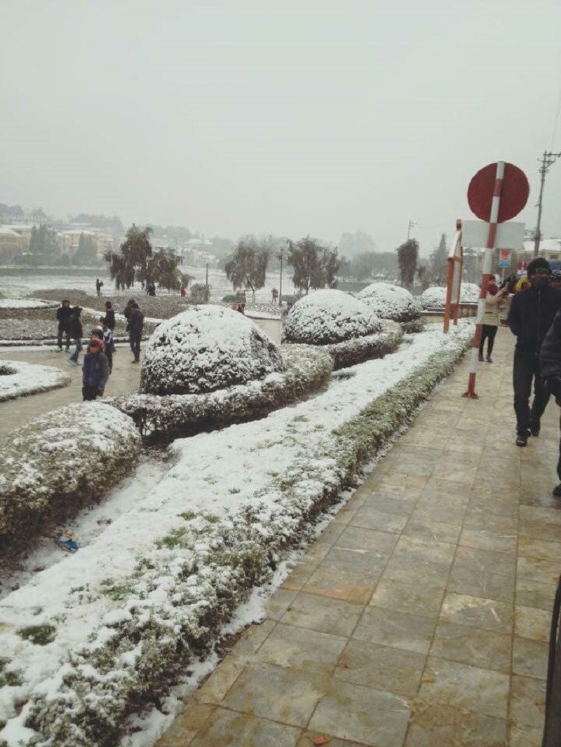 Tuyết hiện đang rơi với mật độ khá dày