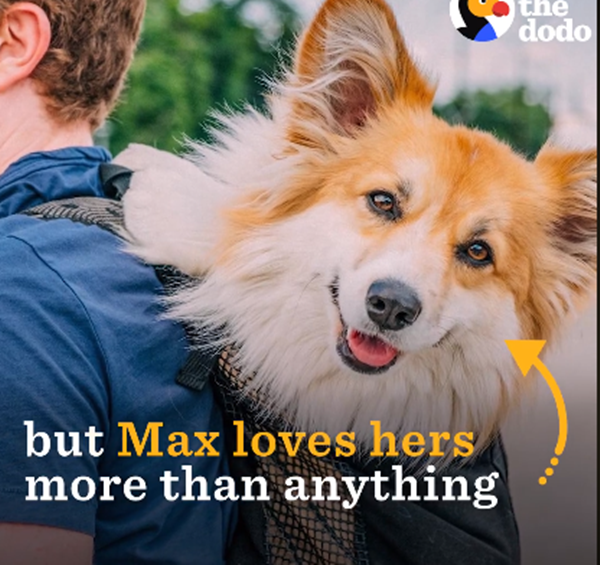 Khuôn mặt vô cùng dễ thương và thân thiện với mọi người xung quanh.