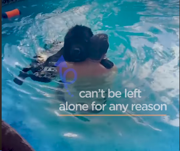 Không thể rời xa thế này thì bao giờ mới bơi được cơ chứ?