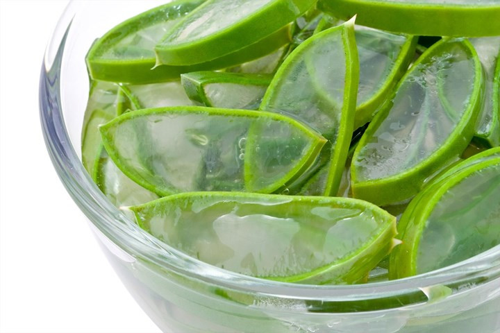 Bệnh Trĩ: Nếu bạn bị bệnh trĩ, không nên uống nước ép lô hội vì nó có thể làm cho tình trạng tồi tệ hơn.