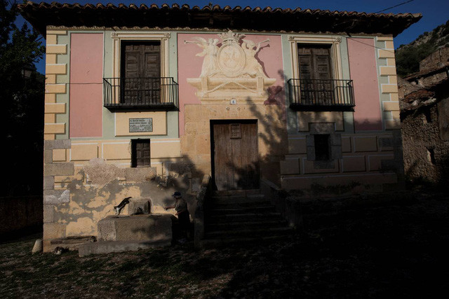 Vợ chồng bà Sinforosa nuôi hơn 20 con mèo.