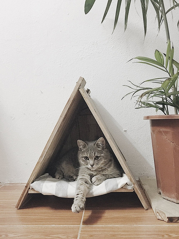 Từng góc nhỏ trong căn phòng. Từng góc nhỏ trong căn phòng.